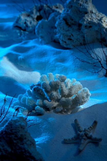 Fondo azul para exhibición de productos con hielo y arena.