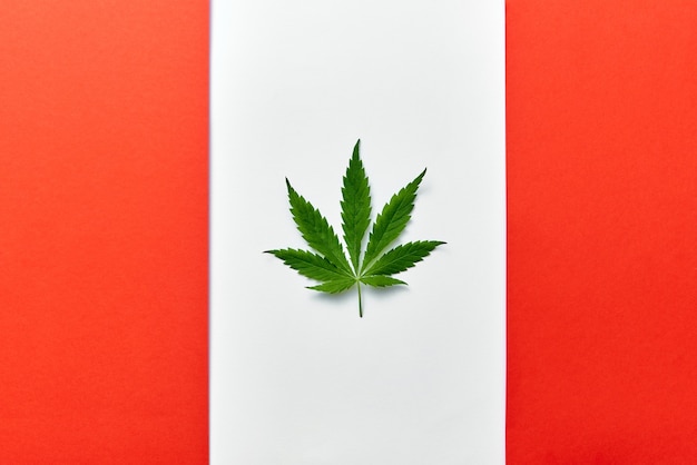 Fondo con bandera roja y blanca de Canadá con hoja de cannabis en lugar de hoja de arce que simboliza la legalización de la marihuana medicinal en el país