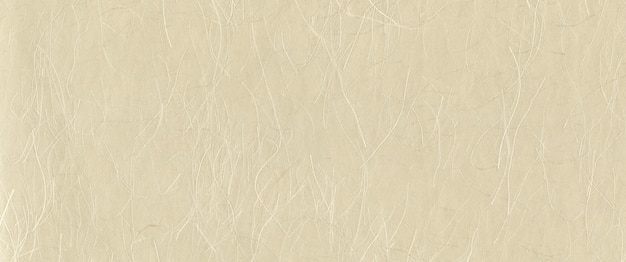 Fondo de banner de textura de papel reciclado japonés natural