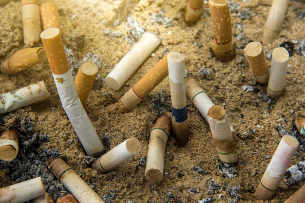 Fondo de basura de colillas de cigarrillos como un cementerio.