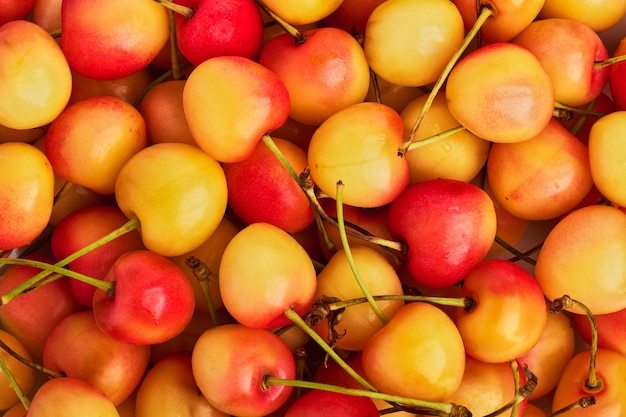 Fondo de bayas cerezas amarillas maduras de cerca