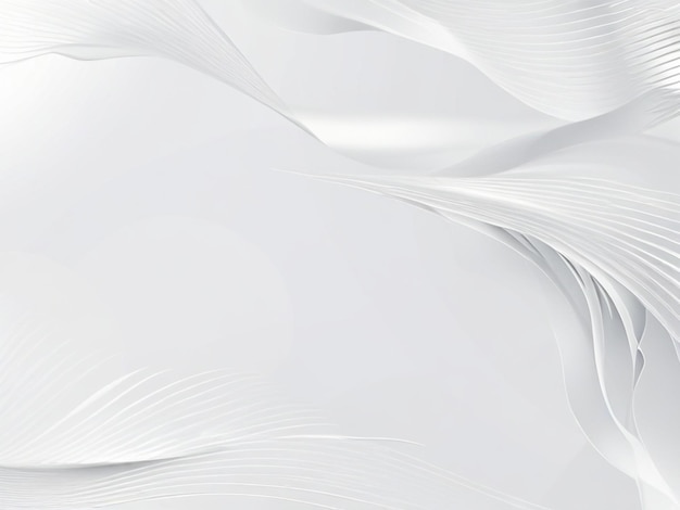 Fondo blanco para la foto Textura de papel de color blanco Papel de lienzo blanco plano Fondo imagen blanca