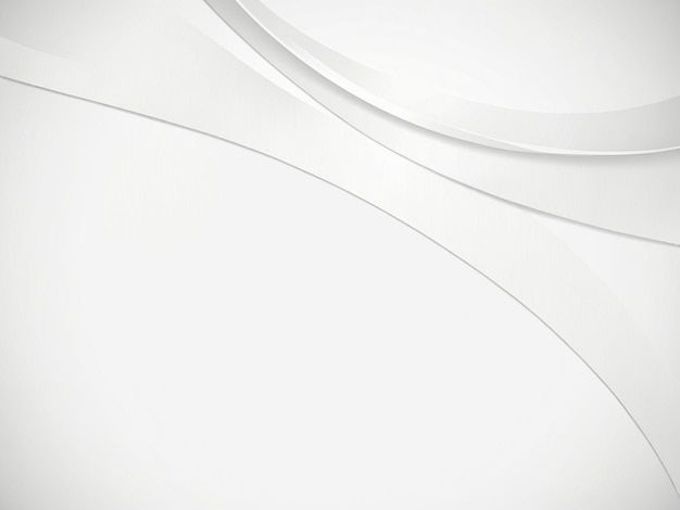 Fondo blanco para la foto Textura de papel de color blanco Papel de lienzo blanco plano Fondo imagen blanca