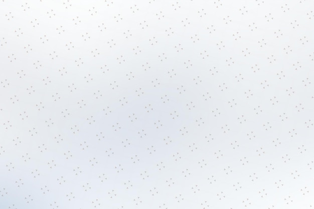 Foto fondo blanco y gris abstracto con pequeñas estrellas patrón sin costuras