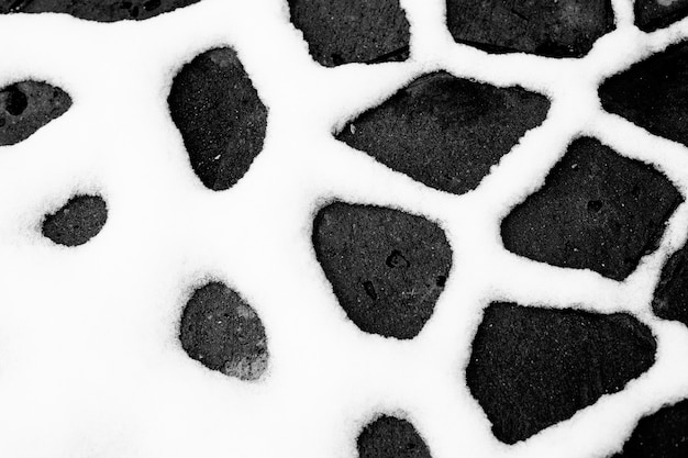 Fondo blanco y negro abstracto nevado.