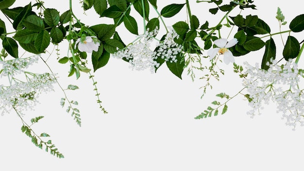 Un fondo blanco con plantas y flores verdes.