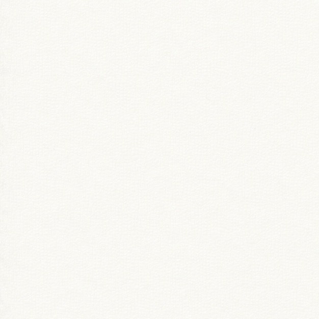 Fondo blanco sencillo
