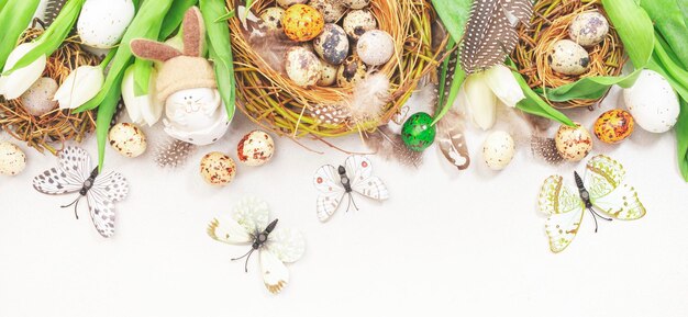 Fondo blanco de vacaciones de Pascua de primavera con tulipanes huevos de codorniz mariposas conejito y plumas en un nido Banner con espacio de copia Vista superior