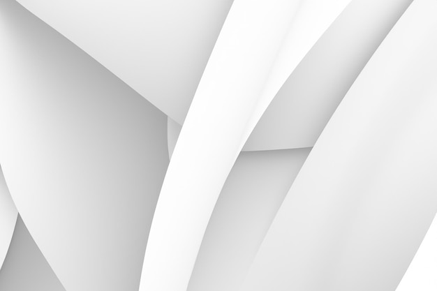 Fondo blanco