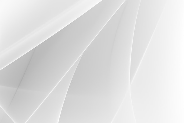 Fondo blanco