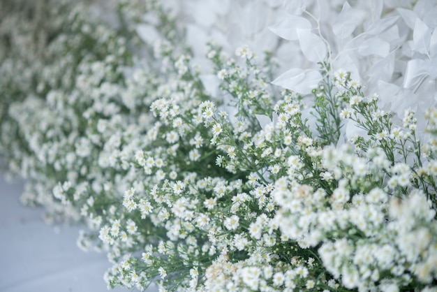 fondo de la boda con la decoración de la boda y la flor