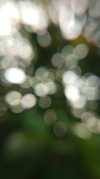 Foto el fondo de bokeh natural