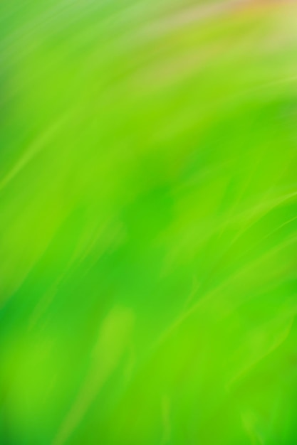 Fondo de bokeh de neblina verde Color verde oliva movimiento borroso fondo desenfocado