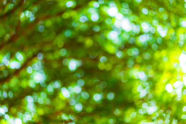 Foto fondo de bokeh verde con círculos. tema abstracto de verano.