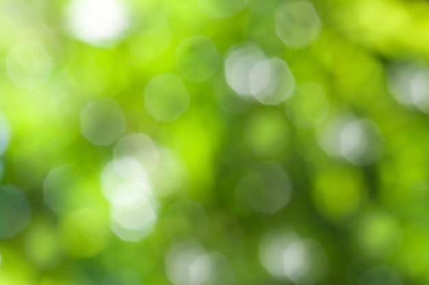 Fondo bokeh verde natural