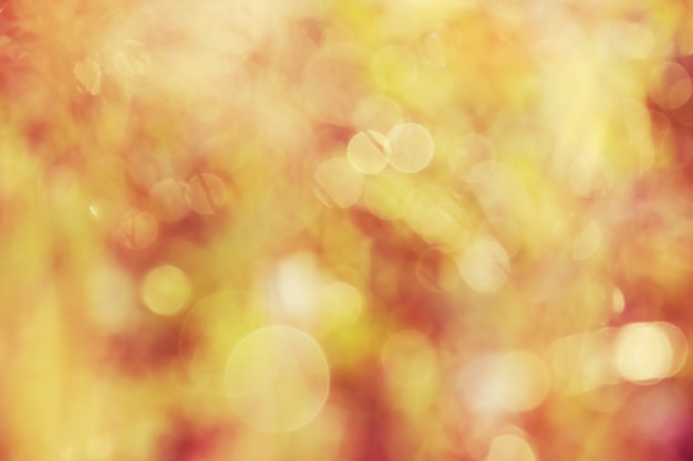 Fondo bokeh