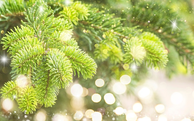 Fondo borroso con árbol de Navidad.