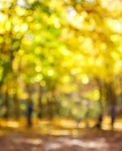 Fondo borroso del bosque dorado de otoño