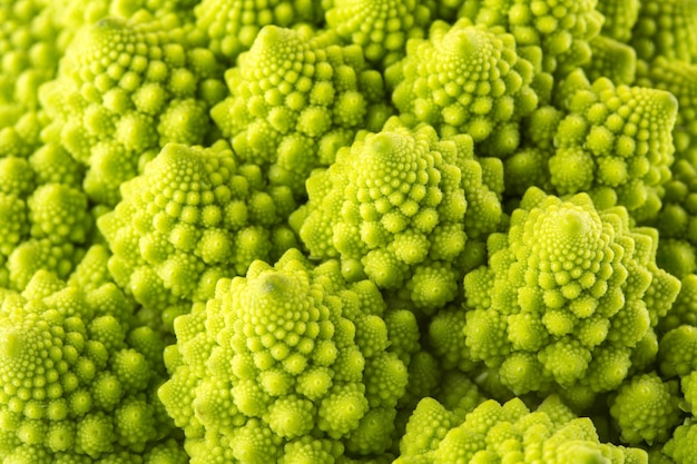 Fondo de brócoli romanesco