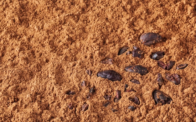 Fondo de cacao en polvo con granos de cacao