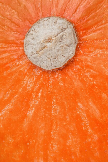 Foto fondo de calabaza endecha plana