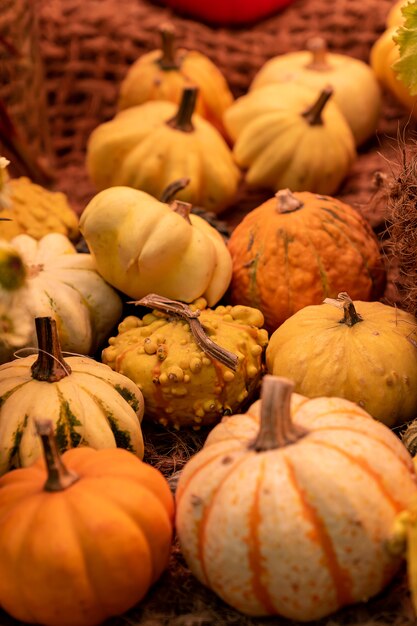 Fondo de calabaza de otoño. Cerca de mini calabazas en el mercado de agricultores.