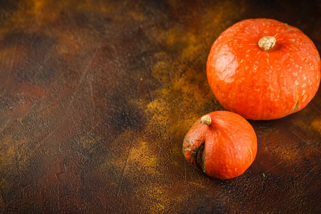 Fondo de calabaza de otoño