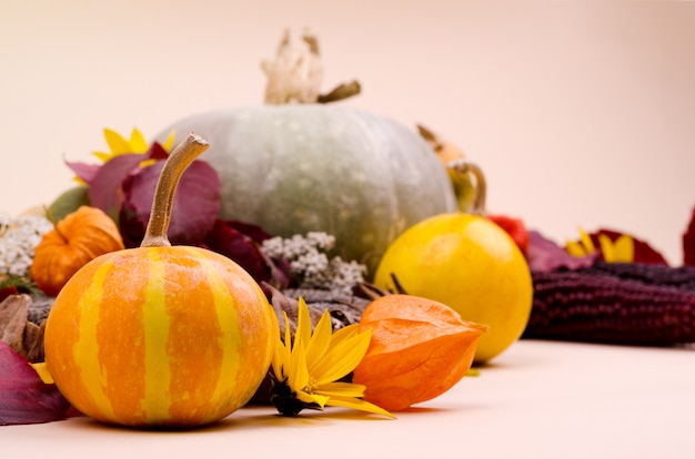 Fondo con calabazas, hojas de otoño amarillas y rojas