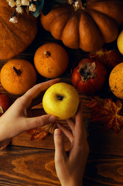 Fondo de calabazas, manzanas y caquis.