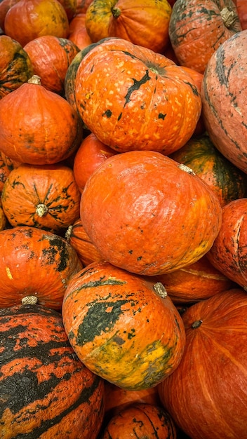 El fondo de las calabazas verticales de Halloween