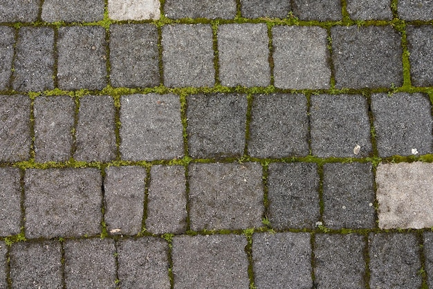 Fondo de camino de piedra marrón-gris con musgo. Patrón de textura de pared de pizarra y fondo