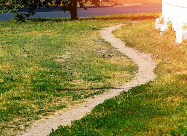 Fondo de camino de verano de campo en zigzag