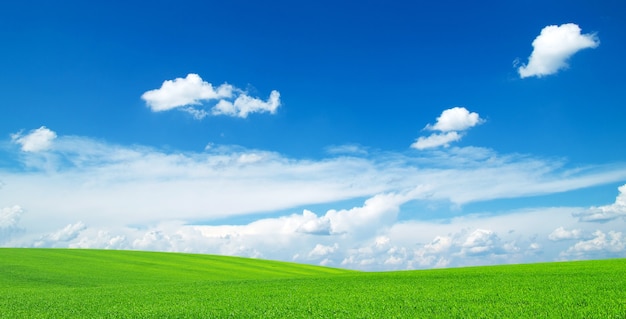 Fondo de campo con cielo azul