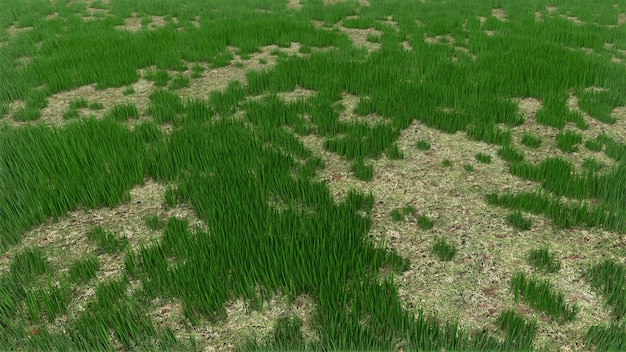 Fondo de campo de hierba render 3d