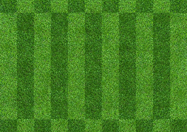 Fondo de campo de hierba verde para fútbol y deportes de fútbol.