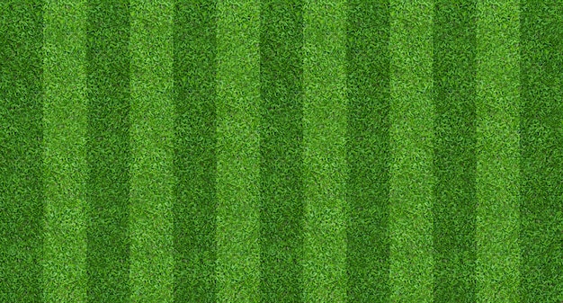 Fondo de campo de hierba verde para fútbol y deportes de fútbol.
