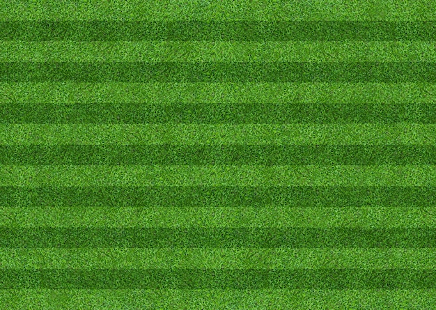 Fondo de campo de hierba verde para fútbol y deportes de fútbol.