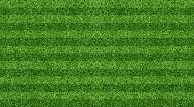 Fondo de campo de hierba verde para fútbol y deportes de fútbol.