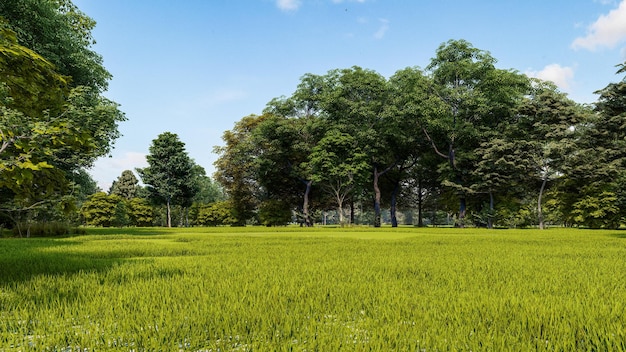 Fondo del campo de hierba verde