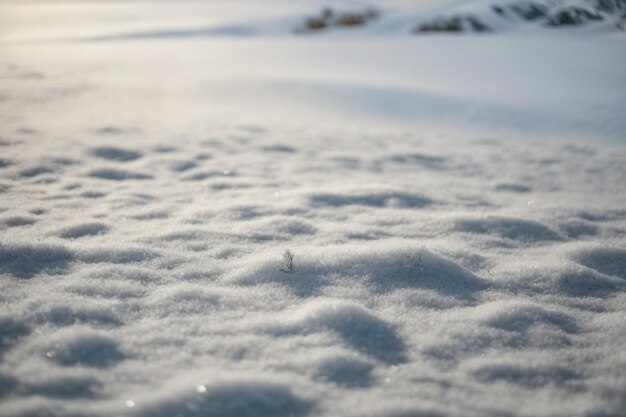 Fondo de camuflaje del ejército de invierno de nieve abstracta con grietas ar c