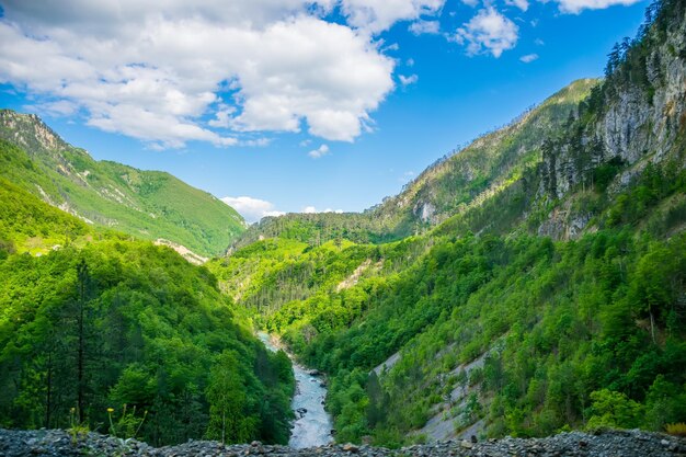 En el fondo del cañón, el pintoresco río Tara fluye rápidamente.