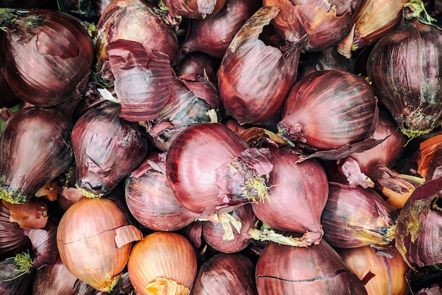 Fondo de cebolla morada. Cebolla fresca variedad cultivada en la tienda.