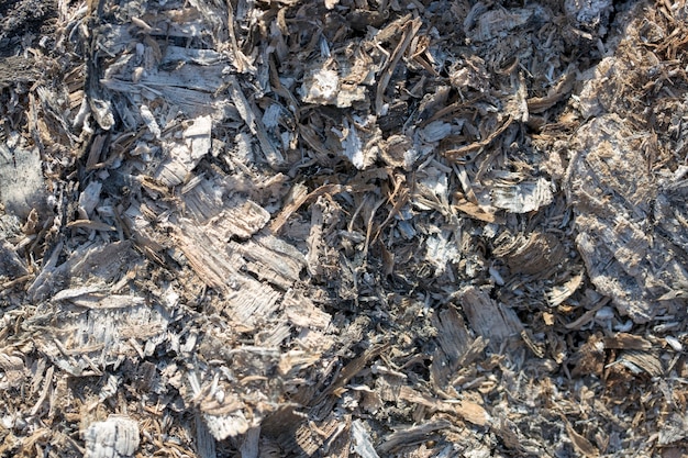 Fondo de ceniza de madera, ceniza de leña quemada.