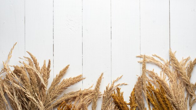 Fondo de cereales en madera blanca