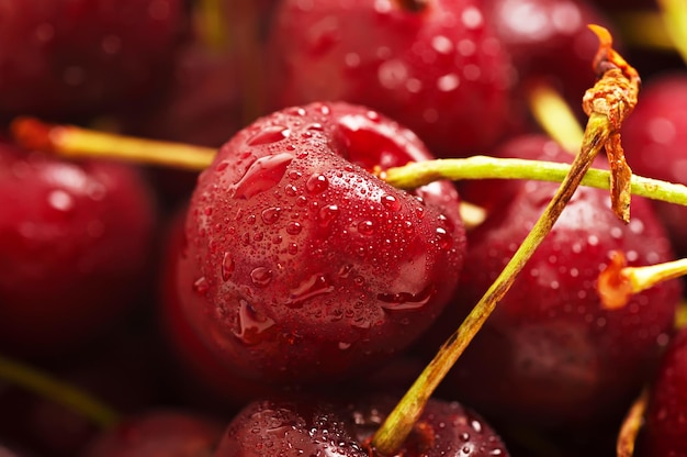 fondo de cereza dulce