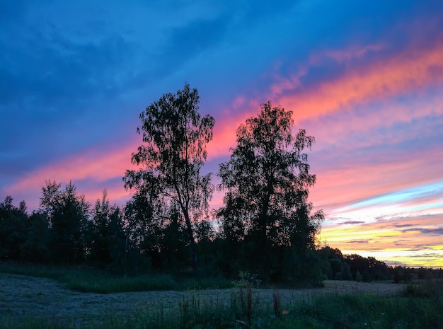 Fondo del cielo al atardecer. Hermoso paisaje de verano en el campo.