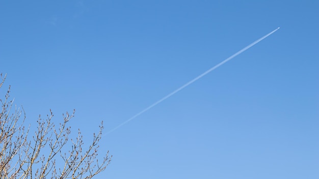 Fondo de cielo azul con avión volador y ramas de árboles a principios de primavera.