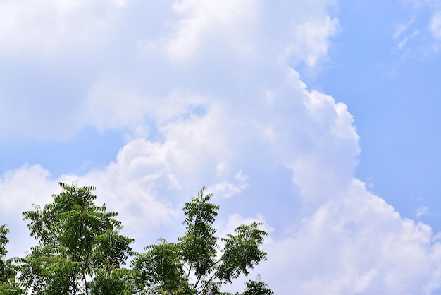 Fondo de cielo azul y claro