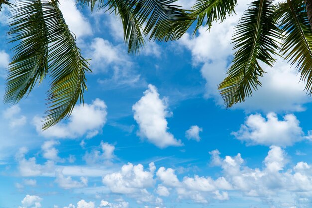 Fondo de cielo azul mientras nube