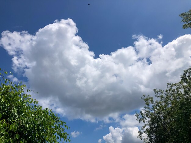 Fondo de cielo azul y nubes blancas durante un día soleado